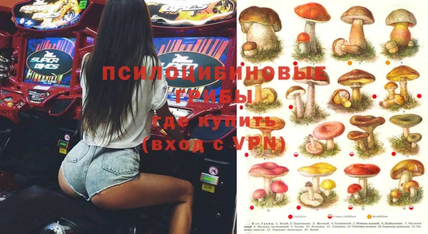 хмурый Арсеньев