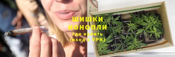 сатива Балахна