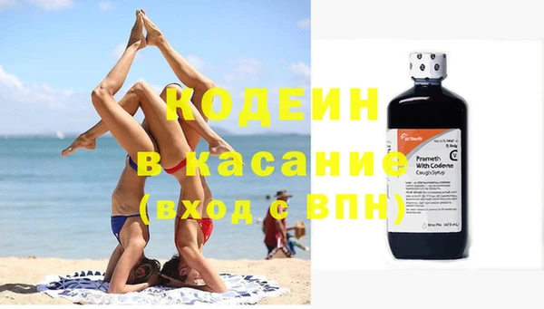 хмурый Арсеньев