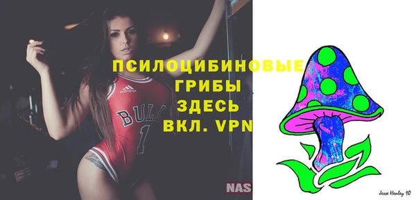 крисы Зерноград