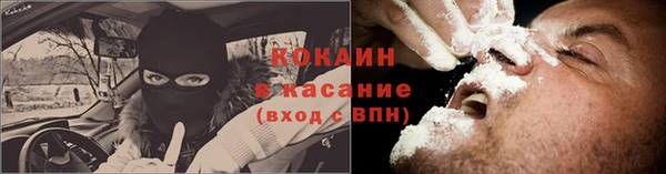 хмурый Арсеньев