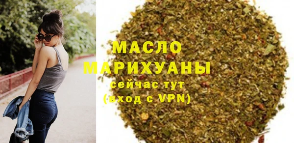 хмурый Арсеньев