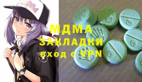 хмурый Арсеньев