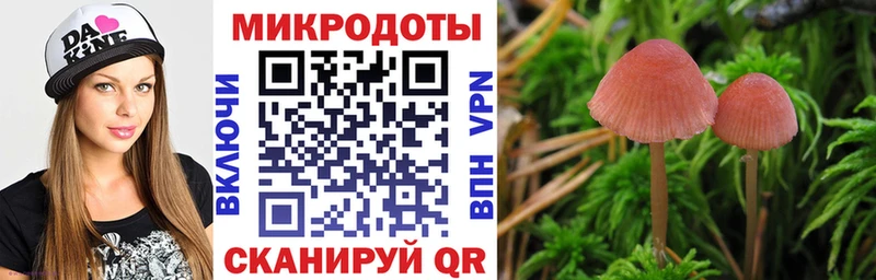Галлюциногенные грибы GOLDEN TEACHER  Старый Крым 